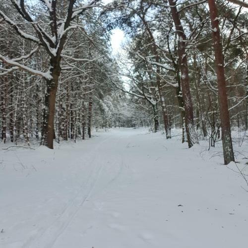 B&B Helene Hoeve