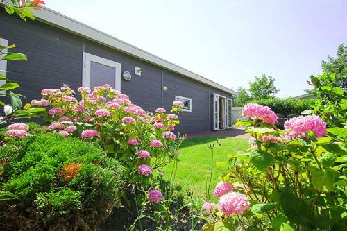 Holiday Rentals