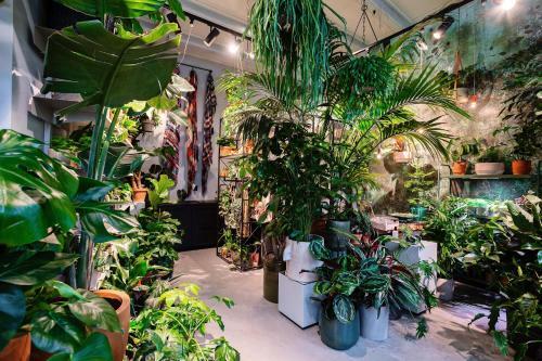Hotel Daen?s Greenhouse