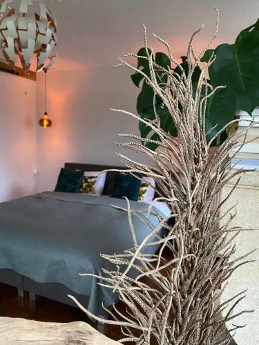 Apartamento B&B La Hacienda
