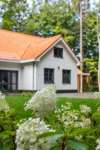 Apartamento Villa Woudstee