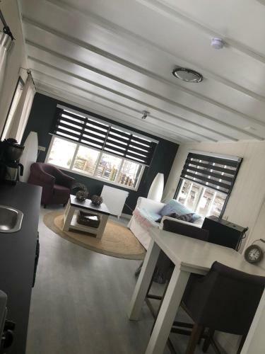 Chalet Het Wollinghuisje