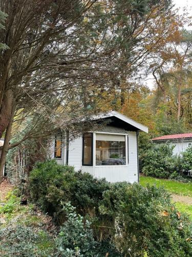 Bos Chalet Vledder Fredriksoord
