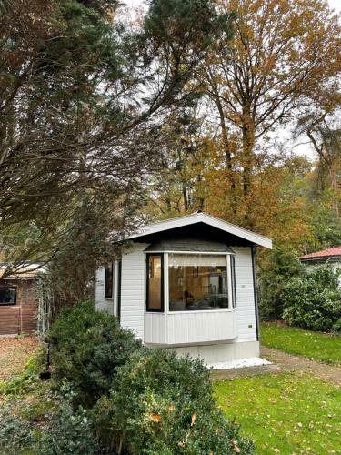 Bos Chalet Vledder Fredriksoord