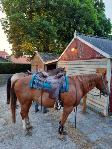 De Wollinghoeve