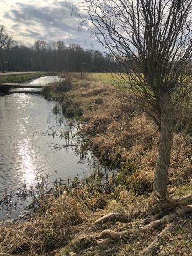 Apartamento Landgoed Het Heuvelbosch