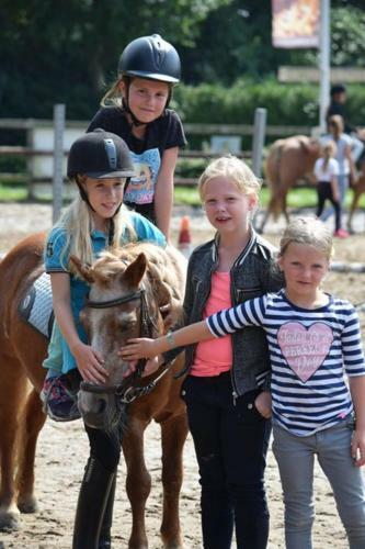 Country Camp Camping de Boshoek