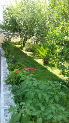 Apartamento Mihaela