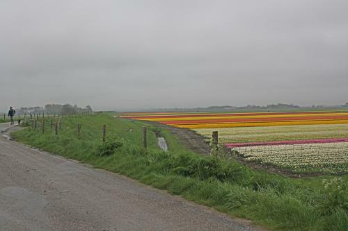 Hotelhuisje Warmenhuizen #b