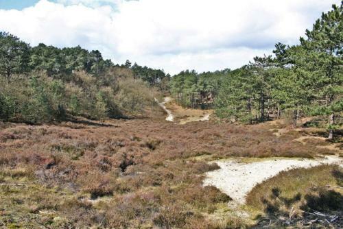Hotelhuisje Warmenhuizen #f