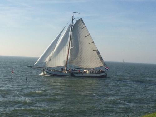 Het Uilennest