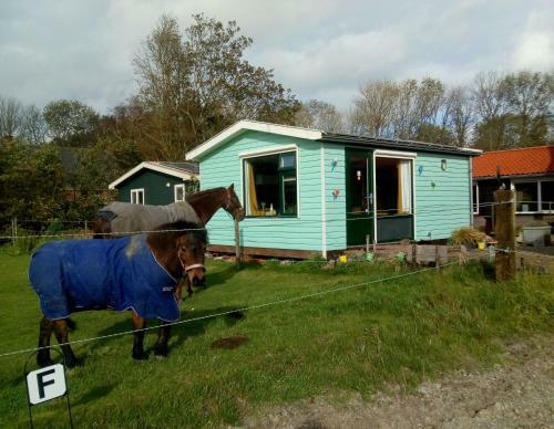 Bed & Breakfast Betty`s Tiny House