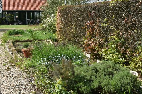 Apartamento Beeldend Buiten