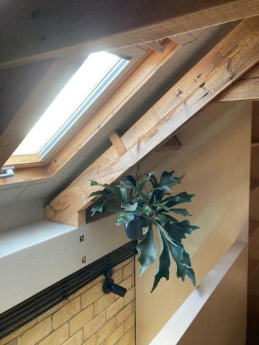 Apartamento Tiny House Van Hoogspanning Naar Ontspanning