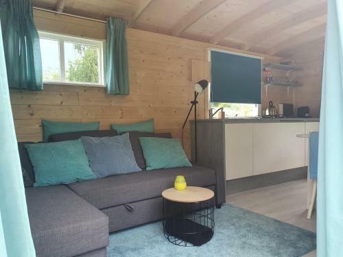 Tiny House Op Wielen Friesland