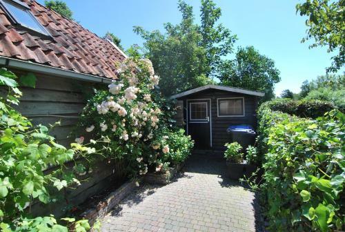 Bed & Breakfast Appartementen Sud