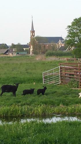 Bed & Breakfast Het Kraaienbosch