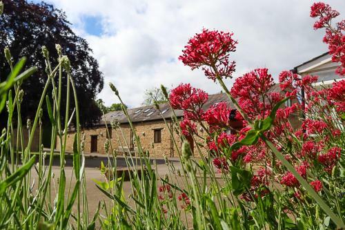Hostal Church Farm Lodge
