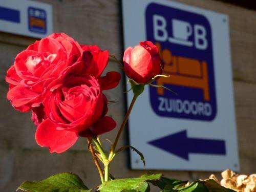 Bed & Breakfast Benb Zuidoord