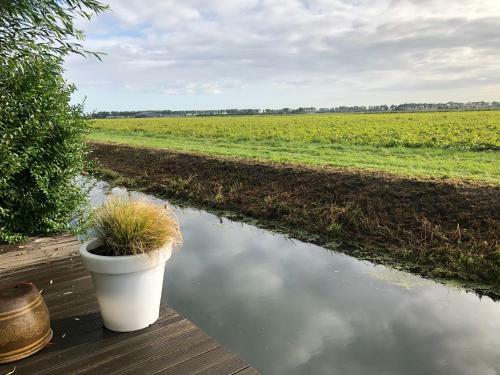 B&B De Nieuwendijk
