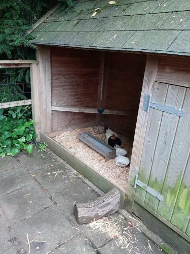 Bed & Breakfast Thuis Bij Elles