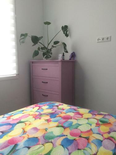 Apartamento Slapen Bij Van-v
