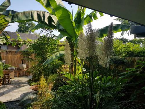 Jungle Stay In A Hidden Paradise