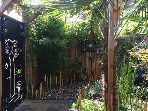 Jungle Stay In A Hidden Paradise