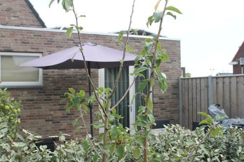 Apartamento Zon Zee Zoutelande