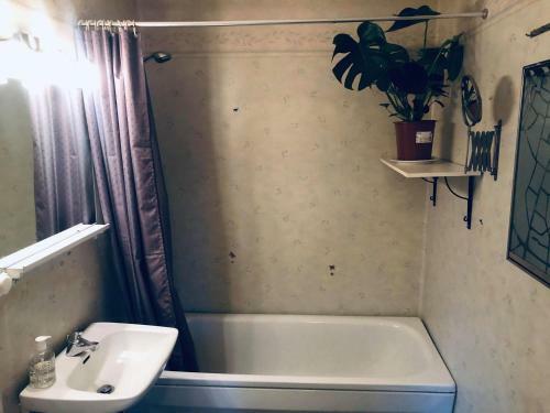 Great Apartment Near Nature And Isaberg