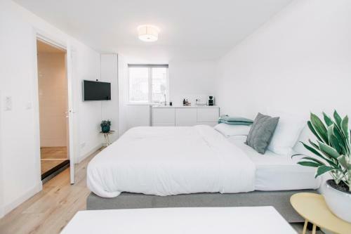 Hostal Zylt Zandvoort