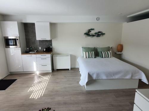 Apartamento Studio Noordzee
