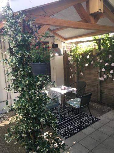 Apartamento Beachstudio De Schelp