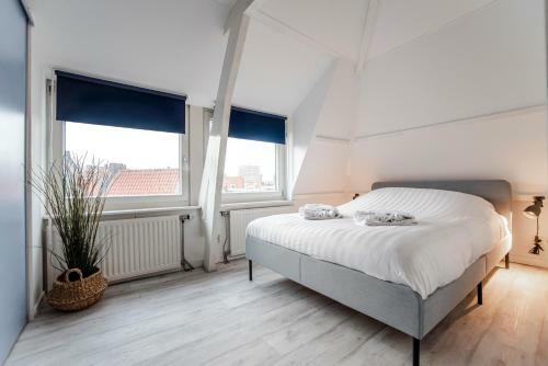 Shell Square Apartment