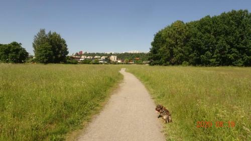 Holiday Home Albystrand 9