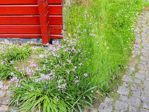 Holiday Home �rkelljunga IV