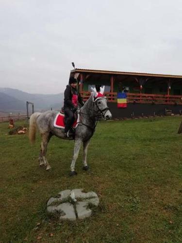 Dara's Camping