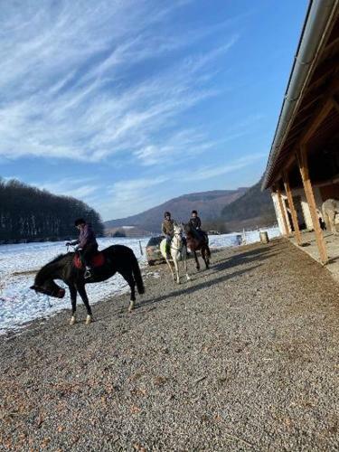 Dara's Camping