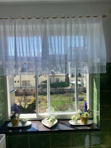 Apartament David