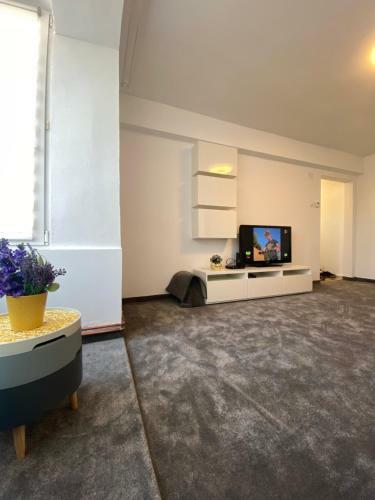 Apartament David