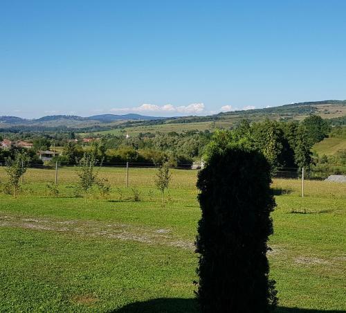 Lodge Cabana Dopca
