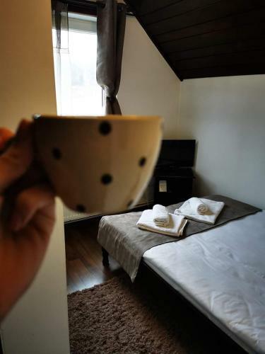 Hostal Casa Dana Putna Bucovina