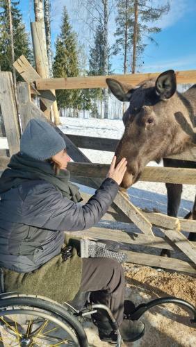 Hostal The Friendly Moose