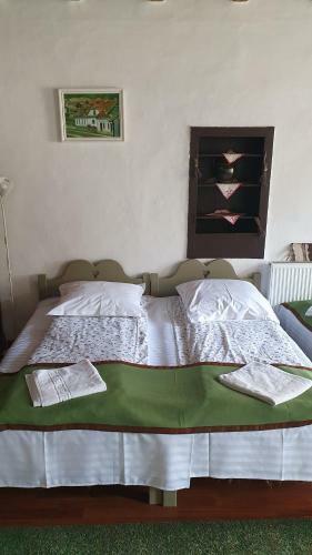 Lodge Pensiunea Aranyos
