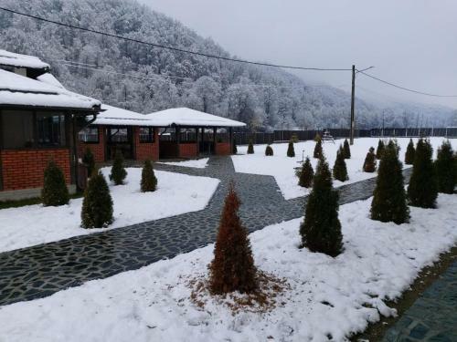 Hostal Pensiunea Perla R�u?or