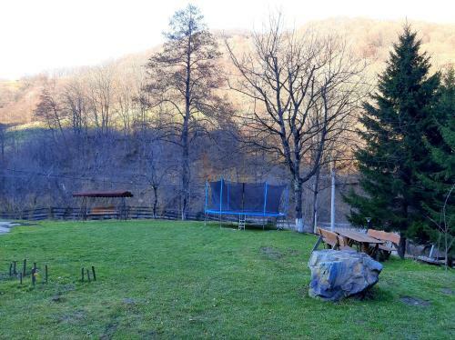 Lodge Cabana Basmelor Cu Ciubar