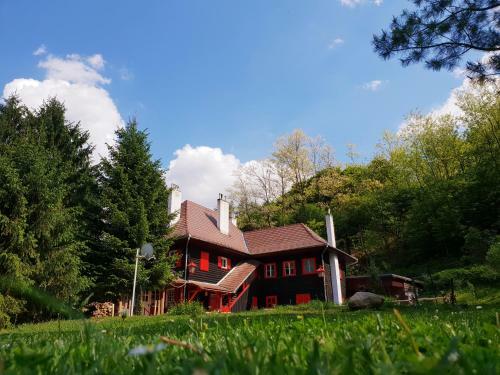 Lodge Cabana Basmelor Cu Ciubar
