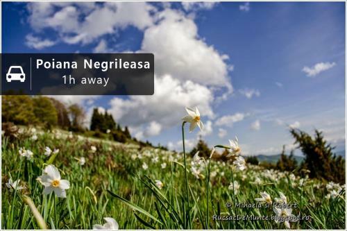 Hostal Casa Petri Rosia Montana
