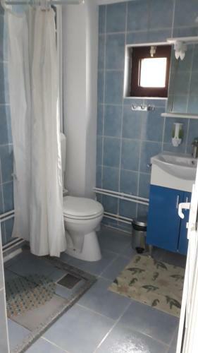 Hostal Pensiunea Scarisoara