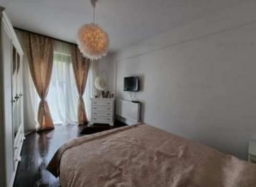 The Unique Apartment